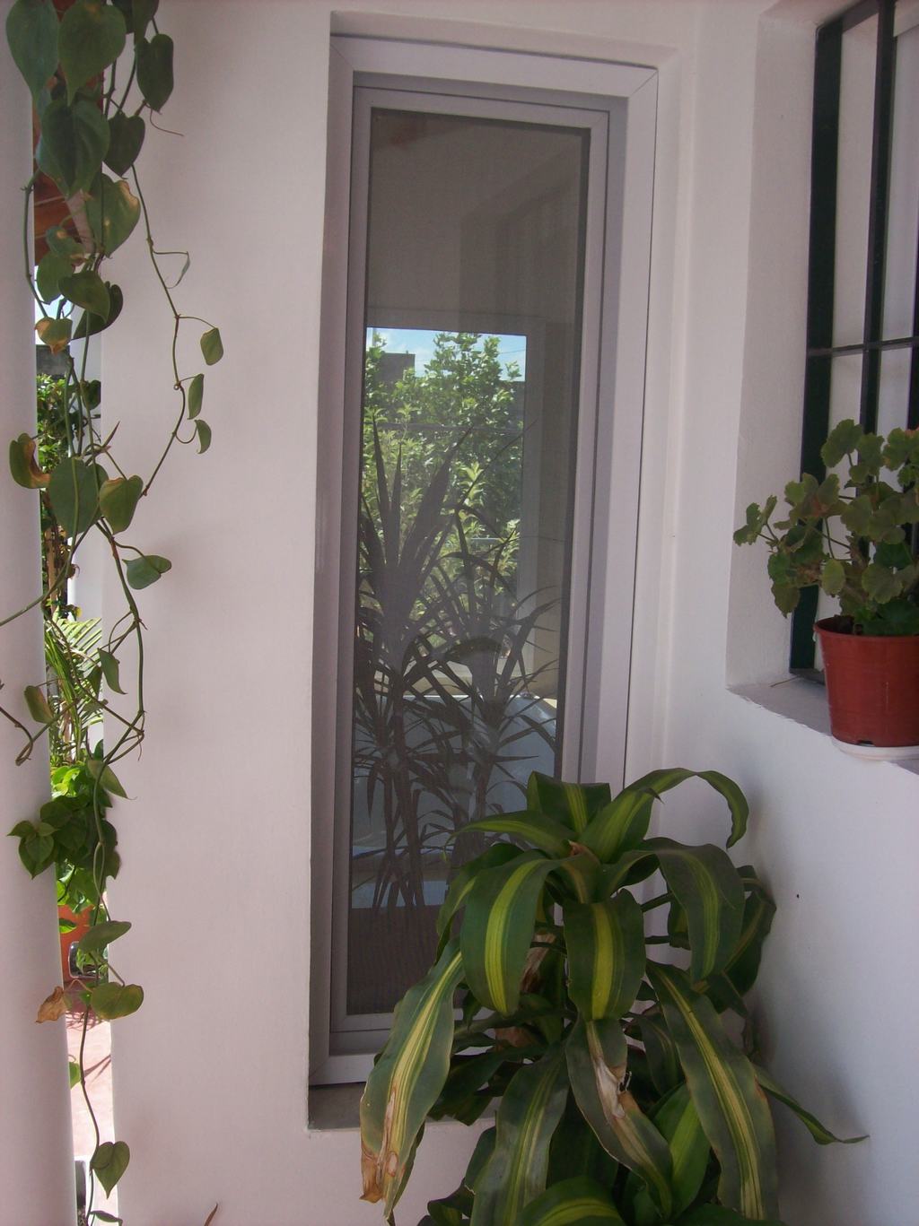 https://aberturasyvidrios.com.ar/wp-content/uploads/2022/07/oscilo-2.jpg